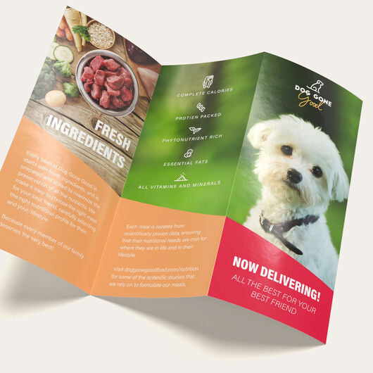 1K Trifold Brochures